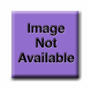 Tray Epidural Perifix® Single Shot Tuohy, Winged, Metal Stylet 20 Gauge 3-1/2 Inch L.O.R. Syringe 10ML (1/TR 10/CS) by B Braun Medical, Inc.  ID 332259